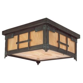 Oak Knoll Collection 14" Wide Indoor   Outdoor Ceiling Light   #72442