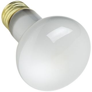 45 Watt R 20 Reflector Light Bulb   #Y1494