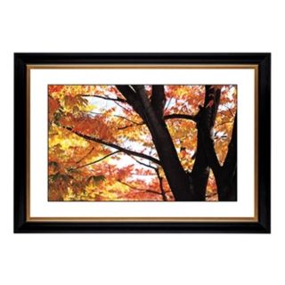 Autumn Color Giclee 41 3/8" Wide Wall Art   #47063 80384