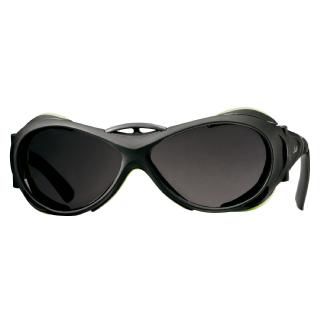 Julbo Explorer Sunglasses w Alti Arc Lenses