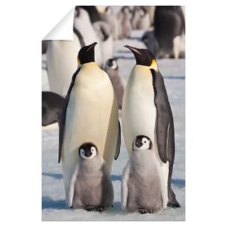 Wall Art  Wall Decals  Emperor Penguins and Chicks