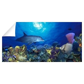 Bottle Nosed dolphin (Tursiops truncatus) and Gray Wall Decal