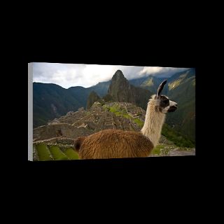 National Geographic Art Store  2012_01_13 002  Machu Picchu, Peru