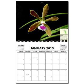Native Orchid Merchandise  The Florida Native Orchids 2007 Calendars
