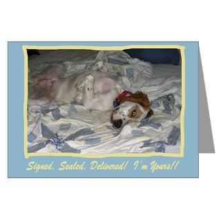 Signed,Sealed Valentines Greeting Cards (6 cards) > Valentines Day