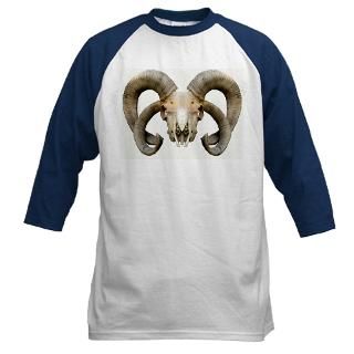AWESOME T Shirts & Hats  Skulls & Horns  4 Horn Sheep Skull