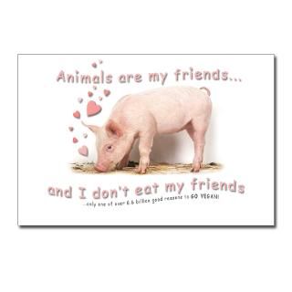 friends not food Postcards (Package of 8)  animals are friends, not