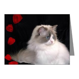 Gifts  Bicolor Note Cards  Ragdoll Cats Note Cards (Pk of 10