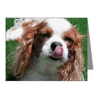 Breed Gifts  Breed Note Cards  Cavalier Note Cards (Pk of 10)