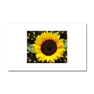 Gifts  Anemones Car Accessories  SUNFLOWER {1} Car Magnet 20 x 12