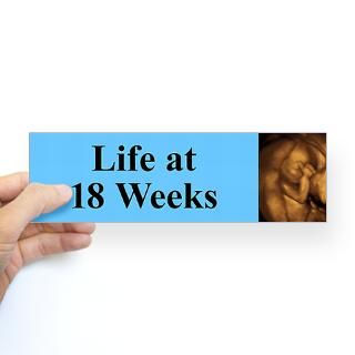 Life at 18 Weeks Bumper Bumper Sticker by ProLifeResources