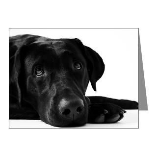 Gifts  Black Lab Note Cards  Black Lab Dog Note Cards (Pk of 20