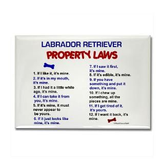Labrador Retriever Property Laws 3 Rectangle Magne by poochloverstuff