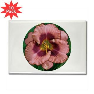 Daring Deception Daylily Rectangle Magnet (10 pack