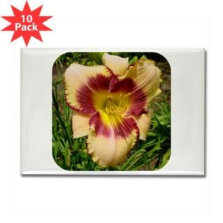 Pirates Patch Daylily Rectangle Magnet (10 pack)