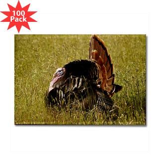 big tom turkey rectangle magnet 100 pack $ 147 99
