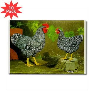 Barred Rock Rooster and Hen  Diane Jacky On Line Catalog