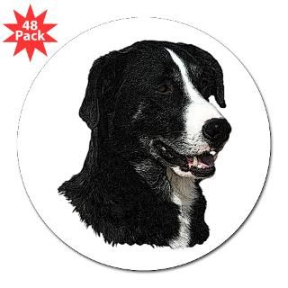 McNab Dogs  DogPlays Dog Lover Tees and Gifts