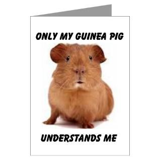 Guinea Pigs Greeting Cards  Buy Guinea Pigs Cards