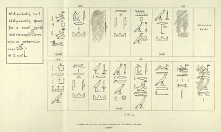 Ancient Egypt Hieroglyphics Bird Karnak Syria Thutmosis Art