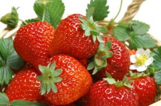 Fragaria Ananassa Strawberry Strawberries Red Bulk Fresh Fruit