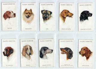 Complete Set of 50 Dog Painting Cards from 1929