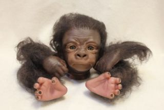 Reborn Gorilla Kiwi Kit Denise Pratt Painted Rooted with Eyes Inserted