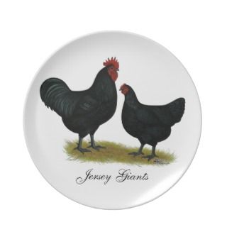 Jersey Giant Chickens Dinner Plates