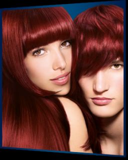 Schwarzkopf Live XXL Color Hair Dye Ultimate Gloss Luminance Reds All