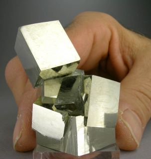 cubic pyrite cluster 6 cubes navajun la rioja spain dimensions 2 x 1 3