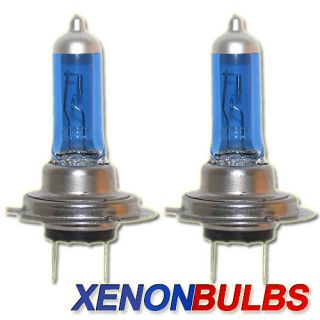 Xenon Bulbs   Car Headlight Light Bulbs 12v White Output Bright Fog