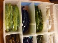 Bass Pro? Pocit FRY WORM Curly Tail GRUBS Soft Baits Huge LOT + PLANO