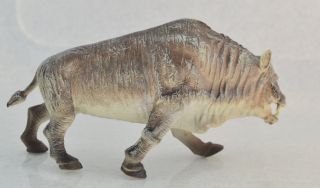 AAA Retired Small Entelodont Prehistoric Mammal Pig Dino New
