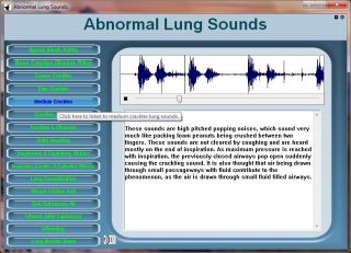 Basic EKG Course, ABG, Heart Lung Sounds, Critical Care 5 CD ROM Disk