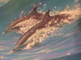Surfing Dolphins by Charles Lynn Bragg A Masterpiece 2 Texture Coats 1