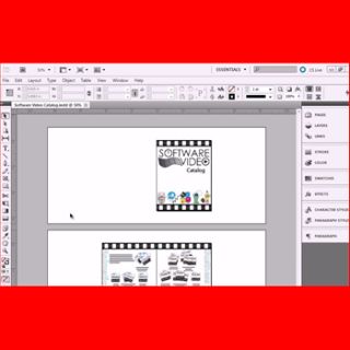 CS5 InDesign CS5 Training 2 DVDs Graphics Software PC Mac Fun