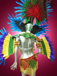 Rio Carnival Parade Dancer Showgirl Drag Queen Parrot Costume