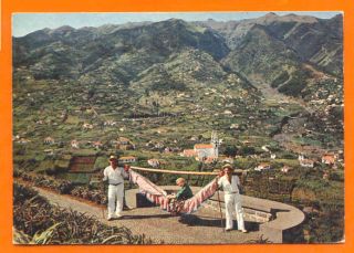 Postcard Portugal Madeira Typical Transport 1950 Years