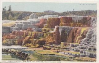Vintage Divided Postcard of HYMEN TERRACE, MAMMOTH HOT SPRINGS