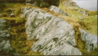 Connemara Marble Irish Celtic Tree of Life Earrings Set