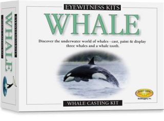 Whale Model Kit Book Cast Paint 3 Whales Marine Mammal Ocean Life