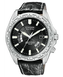 Citizen Watch, Mens Limited Edition World Perpetual Black Croc