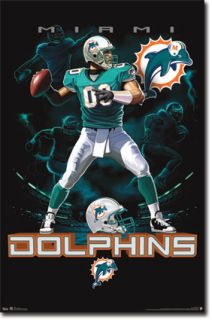 NFL Miami Dolphins Quarterback 2012 Poster