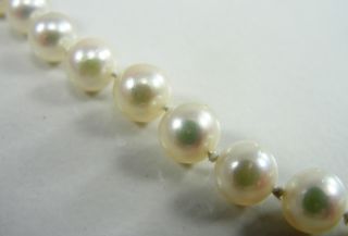 Mikimoto 6mm Pearl Necklace 16 Princess Length 18K Yellow Gold Hook