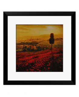 Metaverse Framed Art, Shades Of Poppies by Steve Thoms   Wall Art