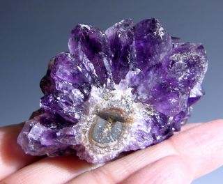 Purple Amethyst Cluster Point Druzy Mineral specimens from Uruguay