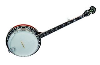 Washburn B16 5 String Banjo w/ Case, FREE CD & Tuning Chart