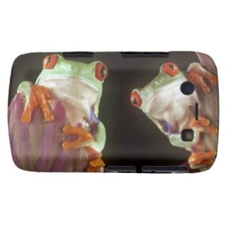Red Eyed Tree Frogs Blackberry Bold Covers