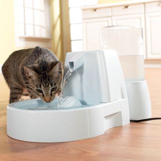 Automatic Cat Feeder & Cat Fountain