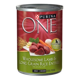 Purina ONE Wholesome Lamb & Long Grain Rice Entre Dog Food   Food   Dog